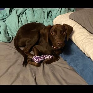 Meet your Posher, Tianna